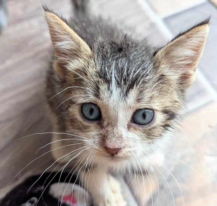 Photo of Kairi