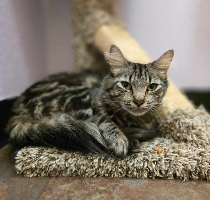 Photo of Freya