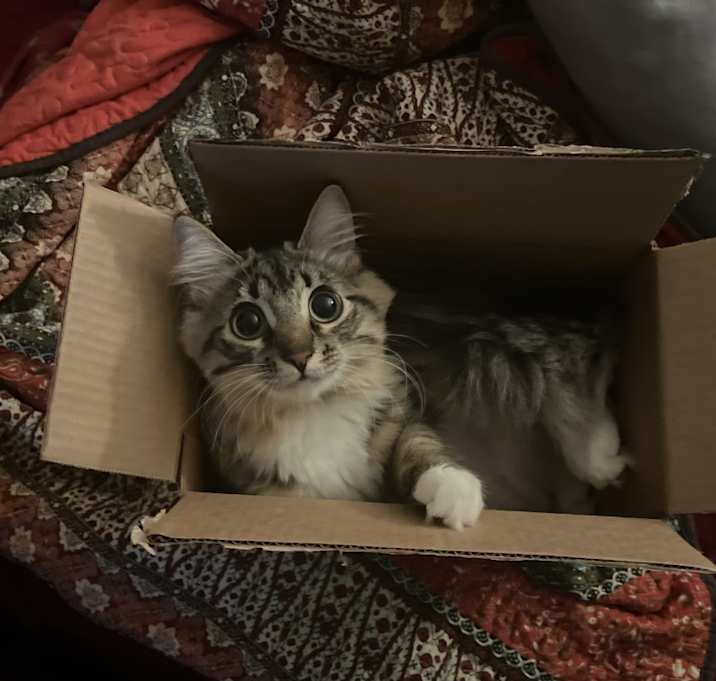 Photo of Neye