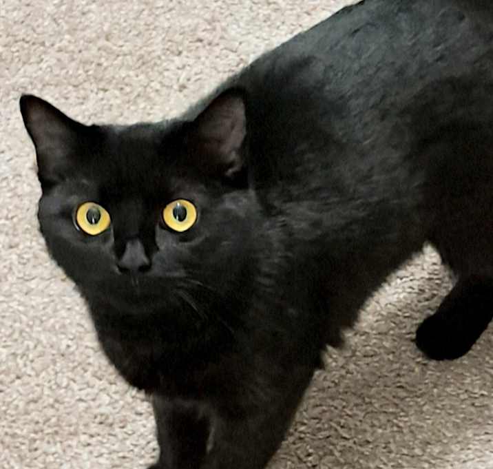 Photo of Michi
