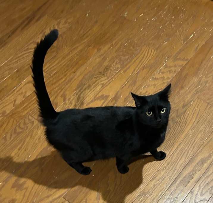 Photo of Tiny