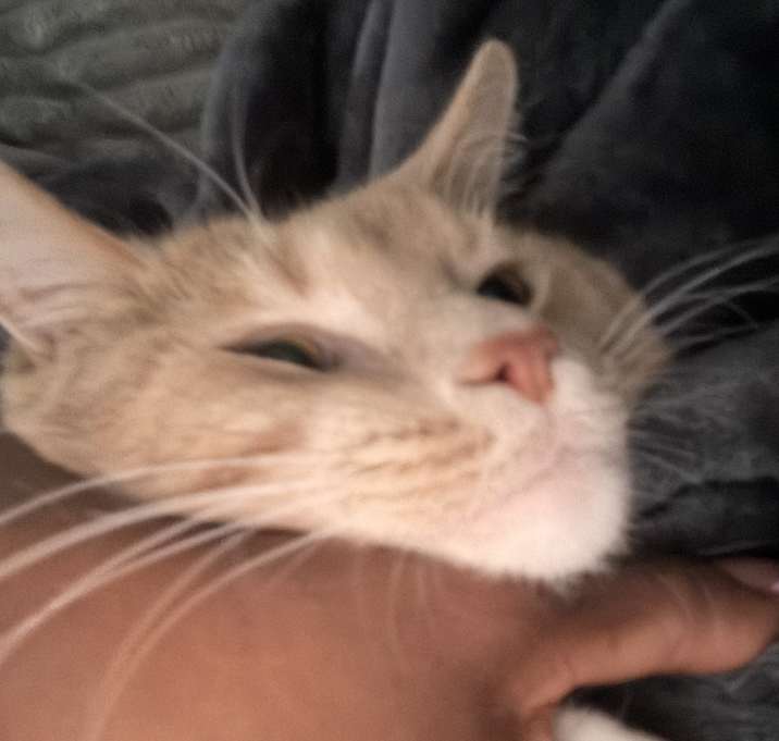 Photo of Charles