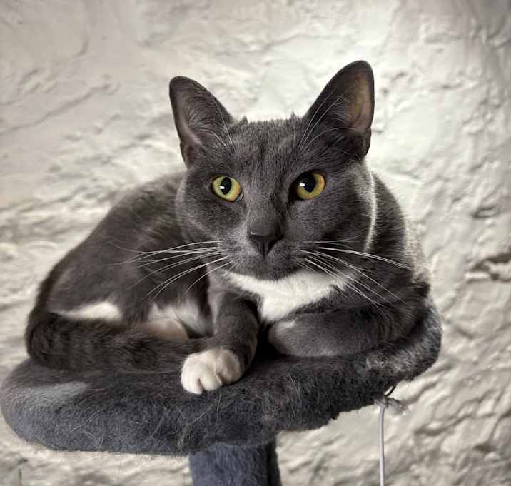 Photo of Boots