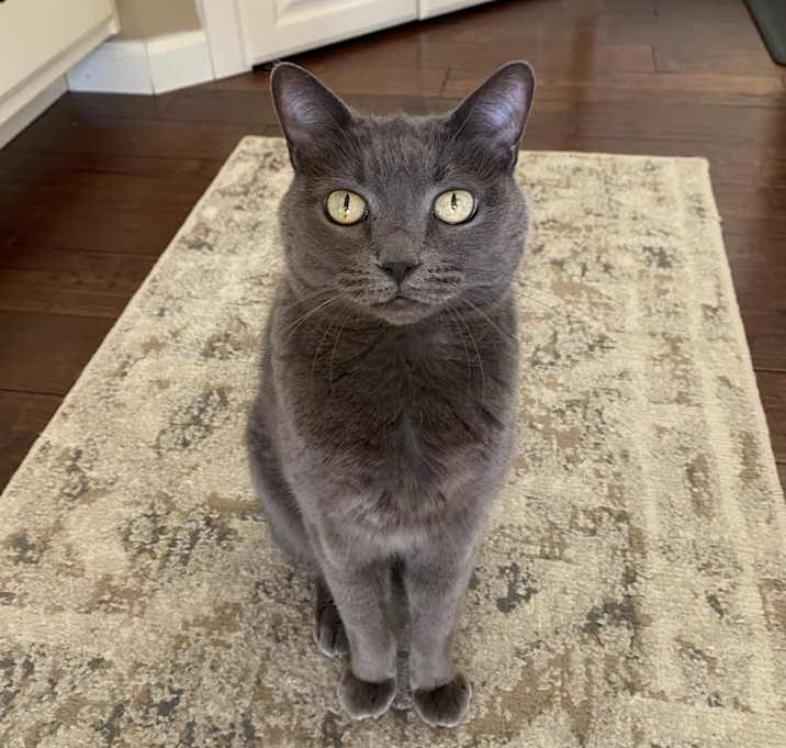 Photo of Luna