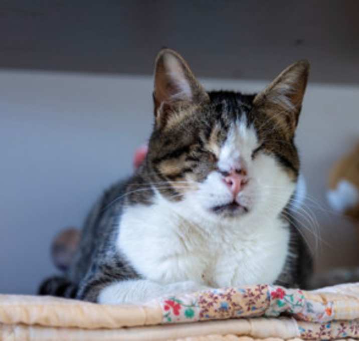 Photo of Polly