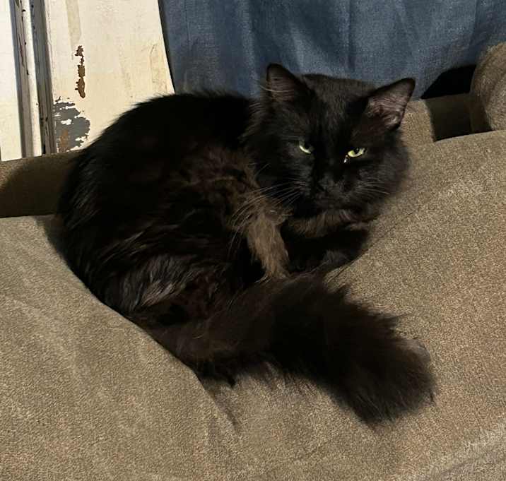 Photo of Smudge