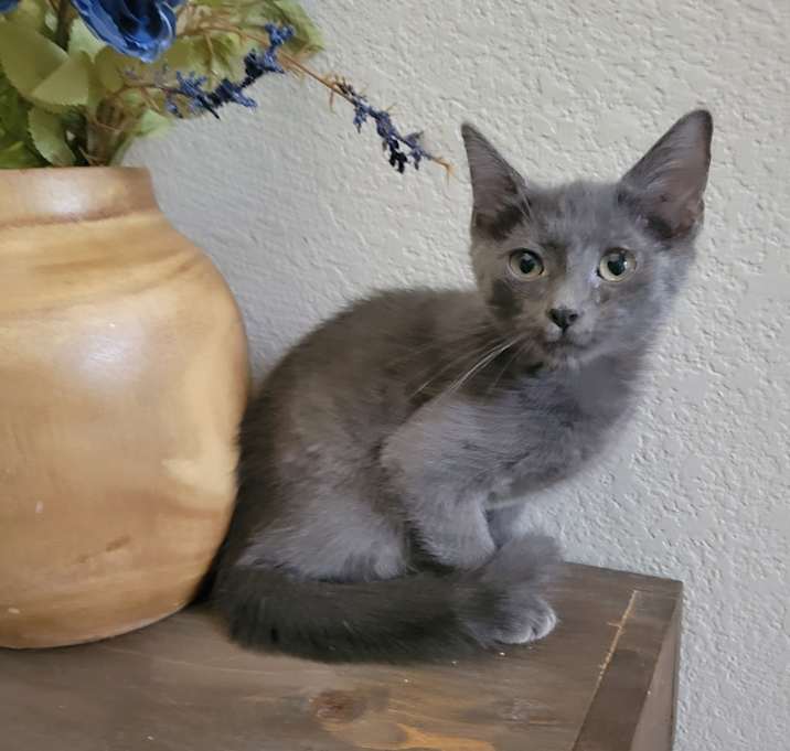 Photo of Augustine