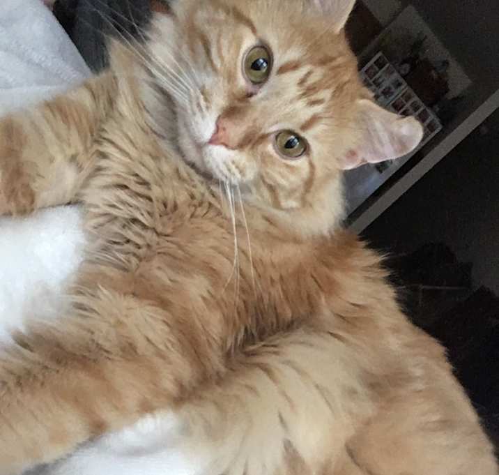 Photo of Sailor