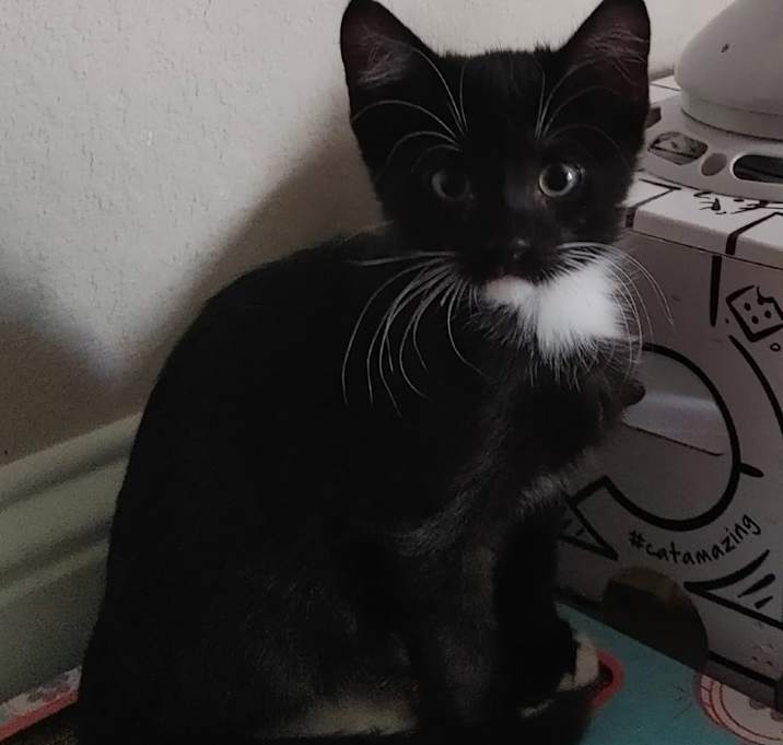 Photo of Earl