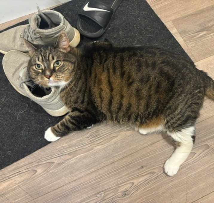 Photo of Farley