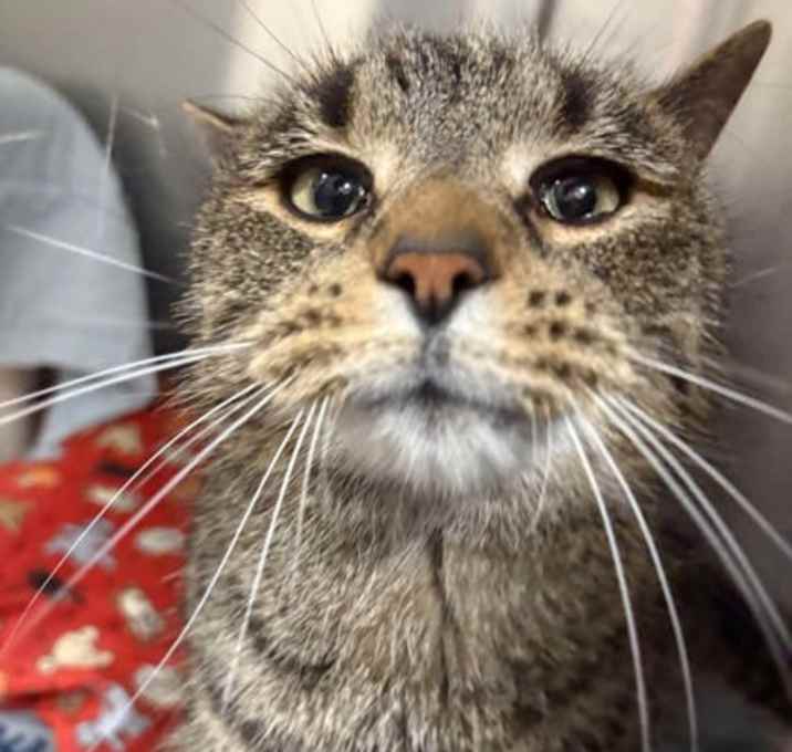 Photo of Sassy