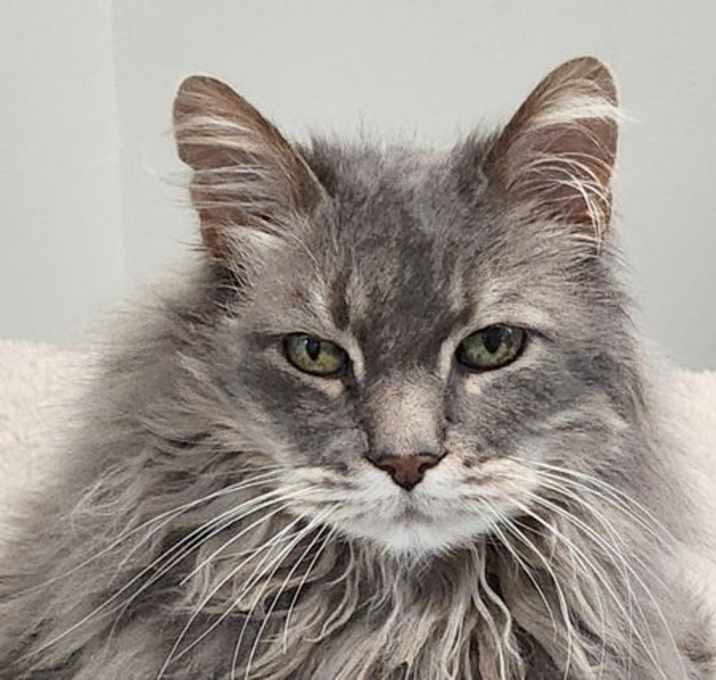 Photo of Sebastian