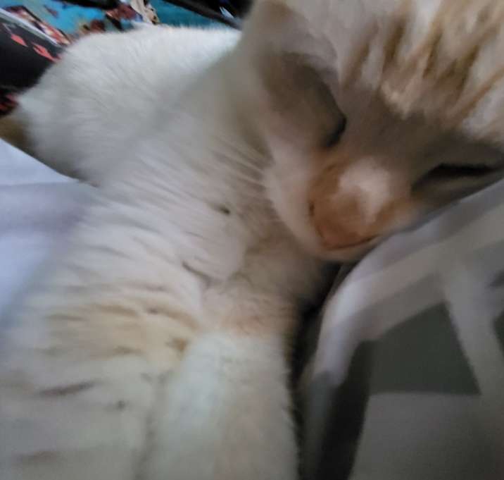 Photo of Tedward