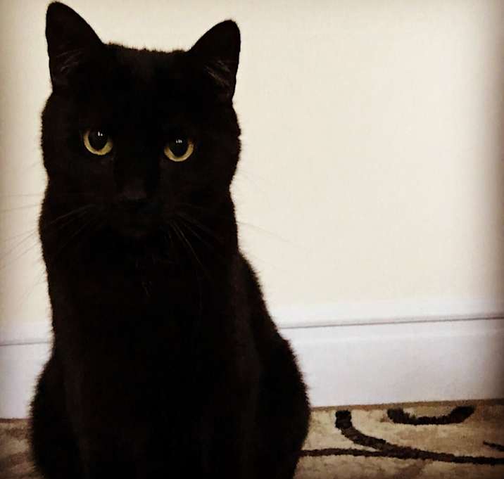 Photo of Selina