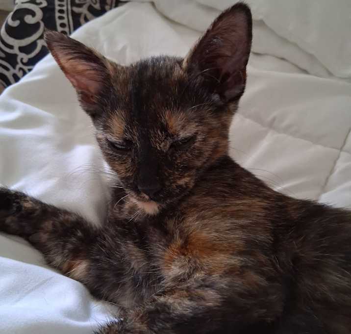 Photo of Babygirl