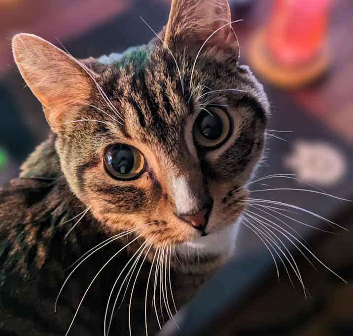 Photo of Sammy