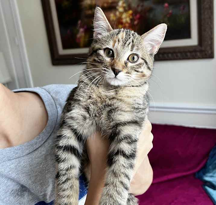 Photo of Rowena