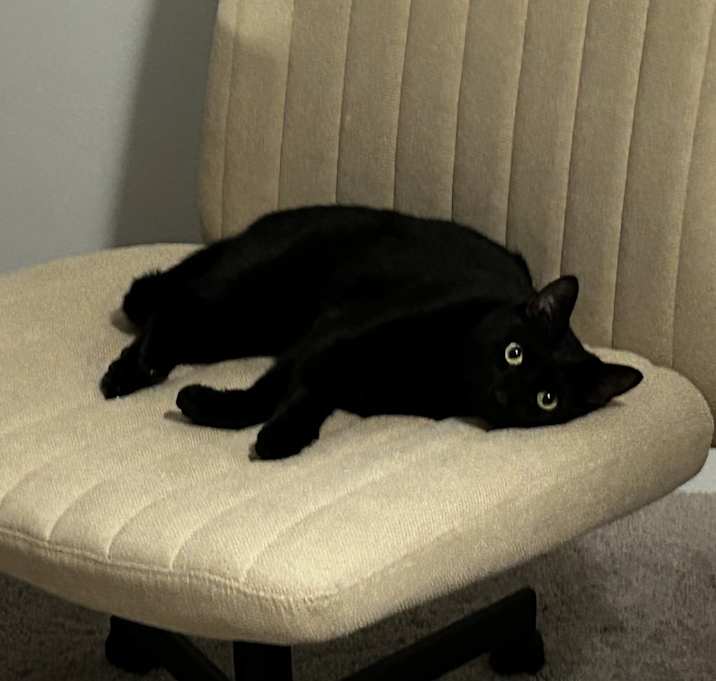 Photo of Jinx