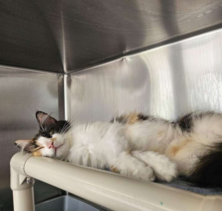 Photo of Mimi