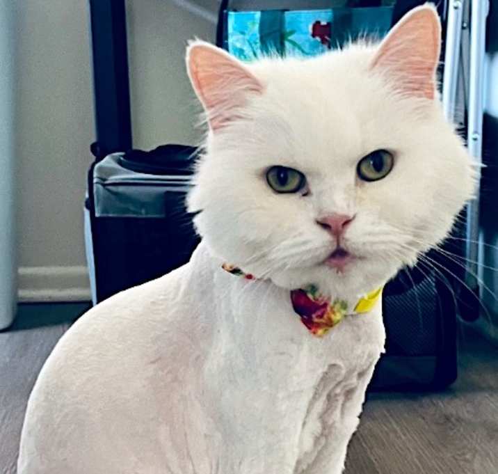 Photo of YUKI