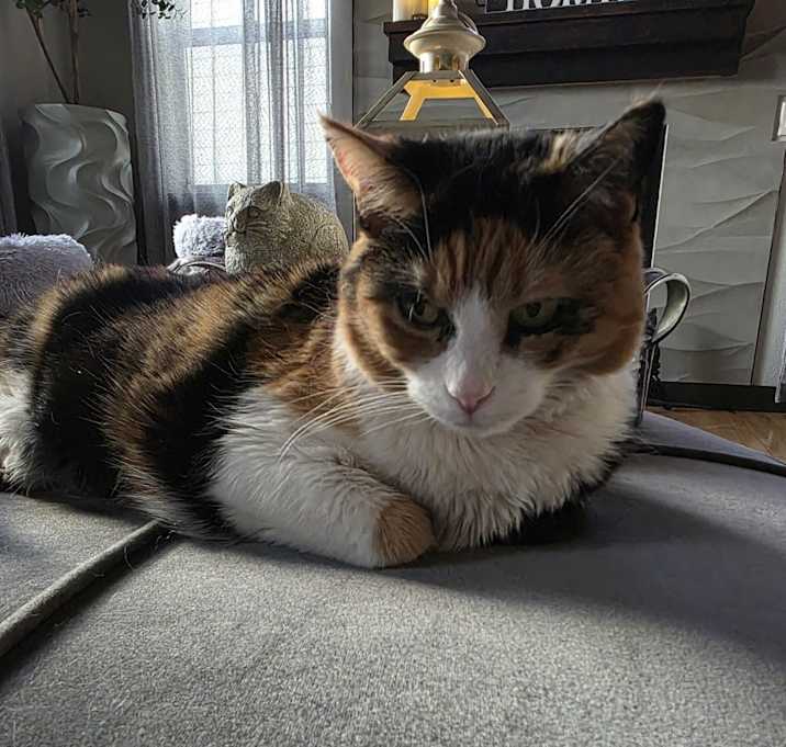 Photo of Coco Chanel