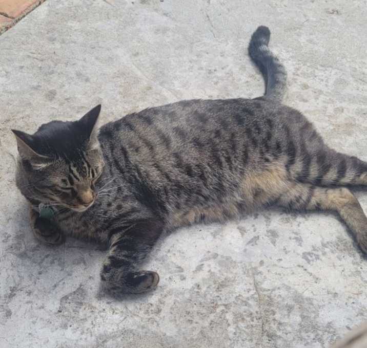 Photo of Bob