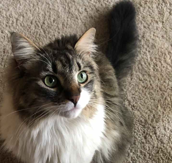 Photo of Lydia