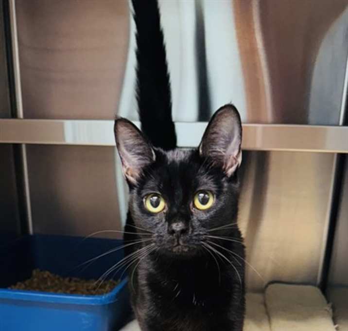 Photo of SELINA
