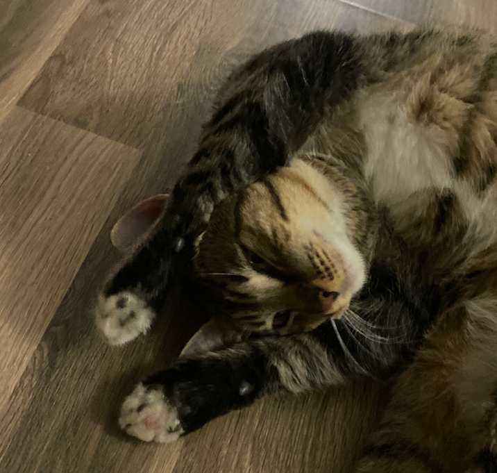 Photo of Oatmeal