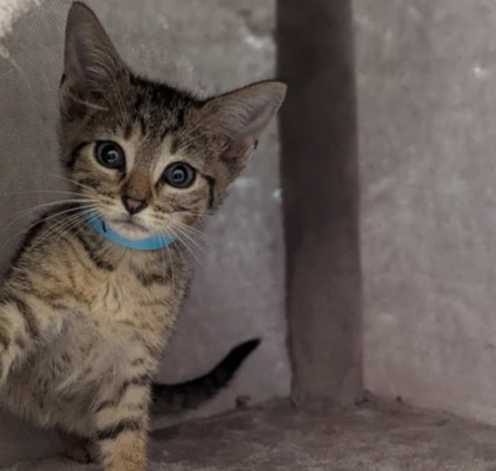 Photo of Barty