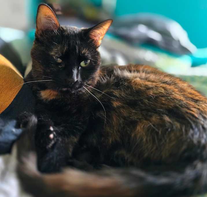Photo of  Mara FKA Paloma
