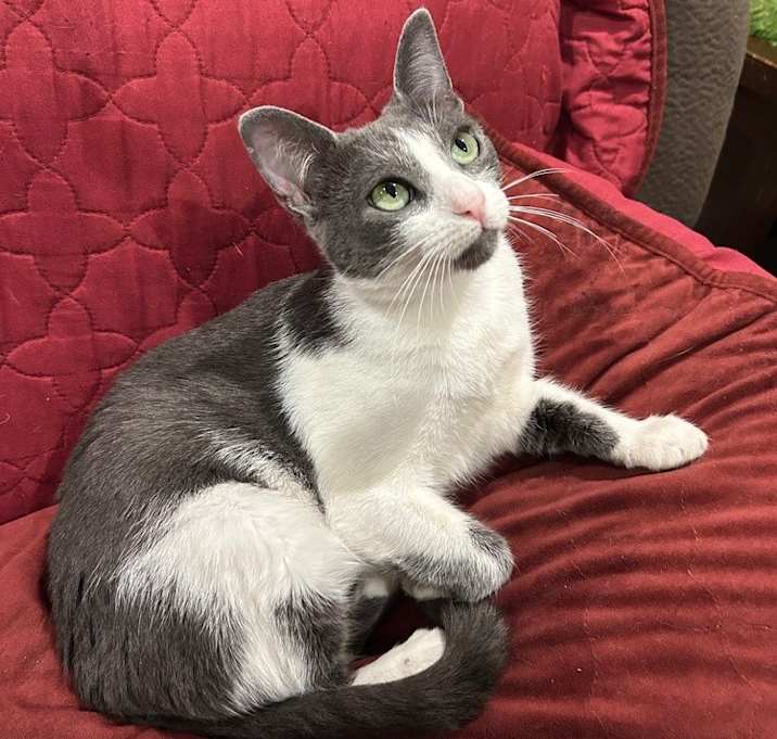 Photo of Josie