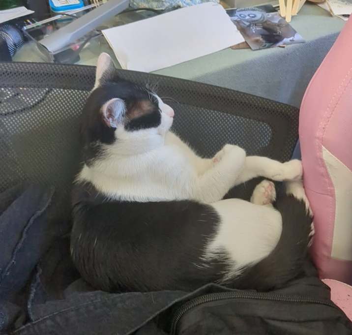 Photo of Jasper