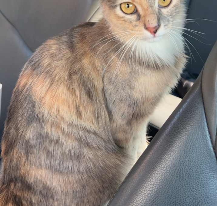 Photo of Lila