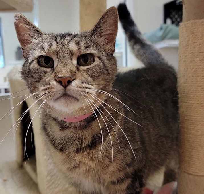 Photo of Twisty