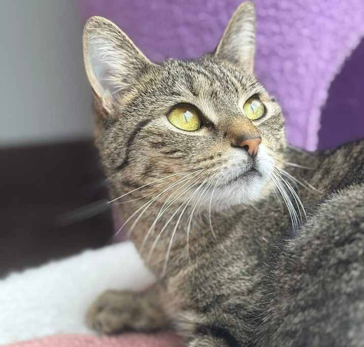 Photo of Greta