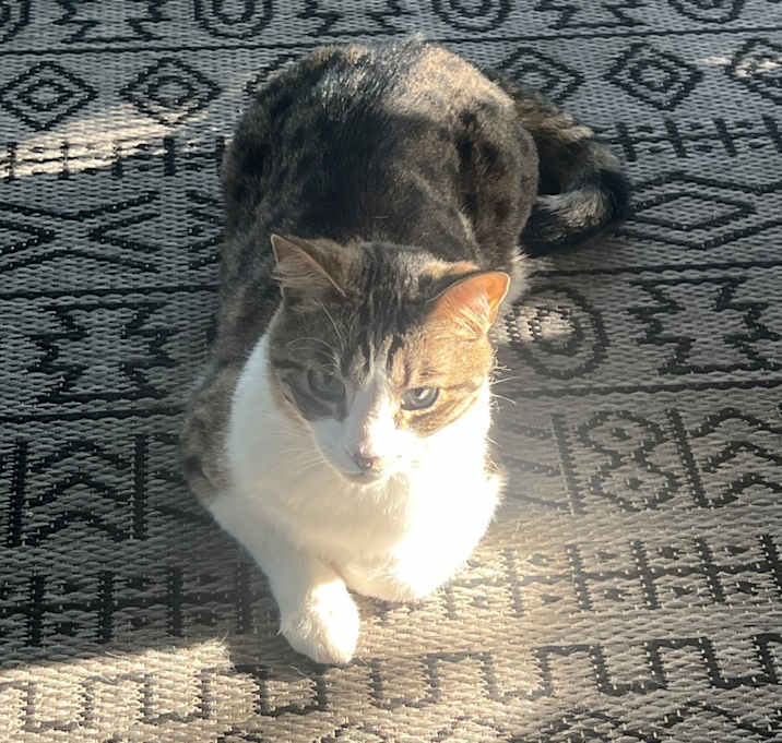 Photo of Buster