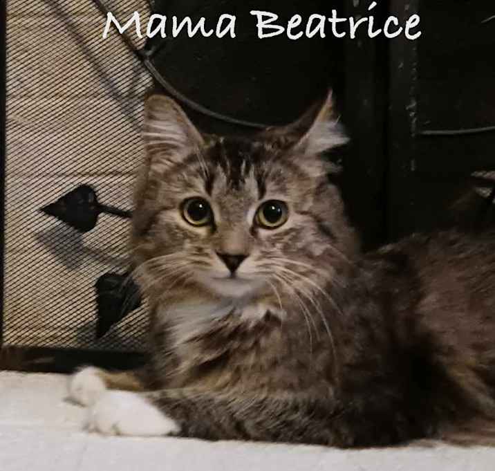 Photo of Mama Beatrice