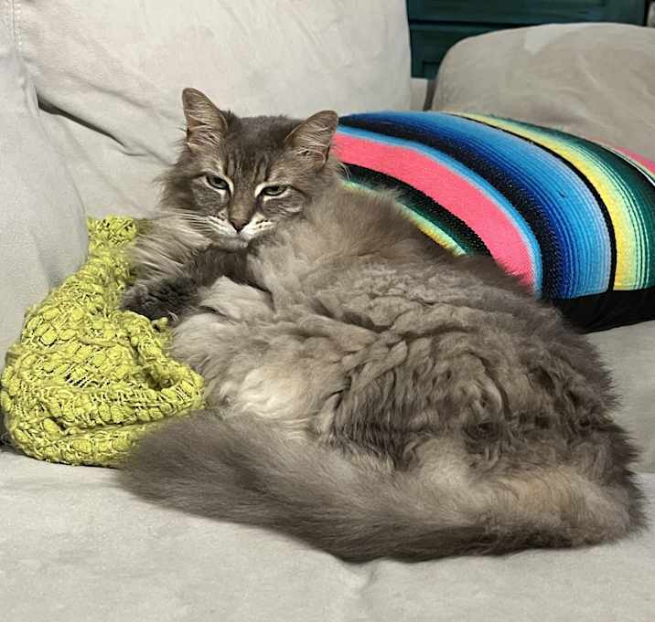 Photo of Duncan