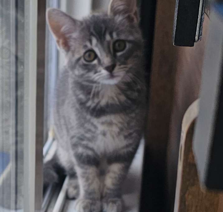 Photo of CHICA...