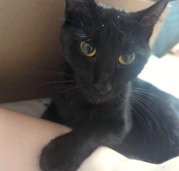 Photo of Eris