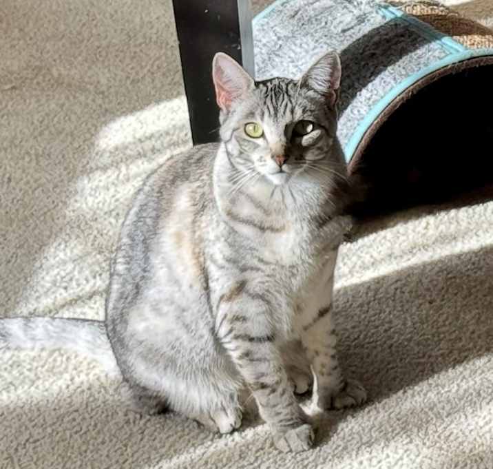 Photo of Thumbalina