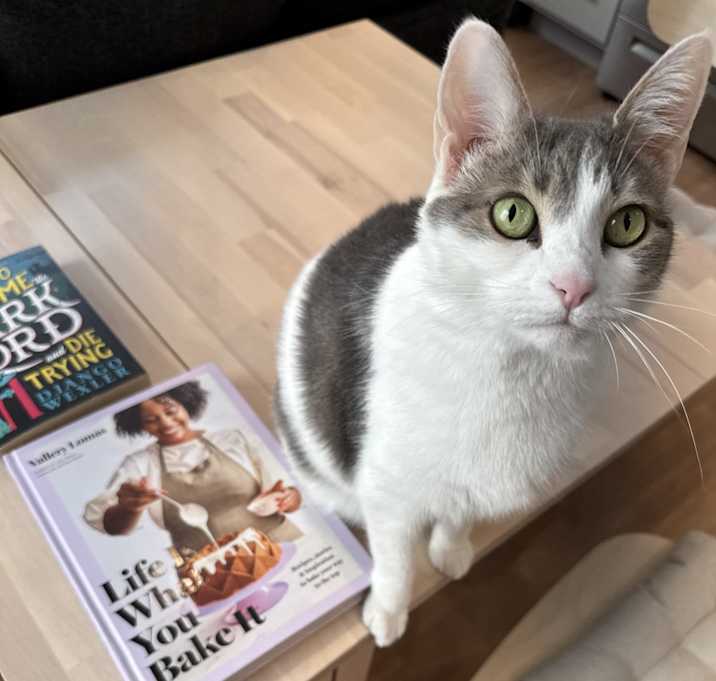 Photo of Mocha