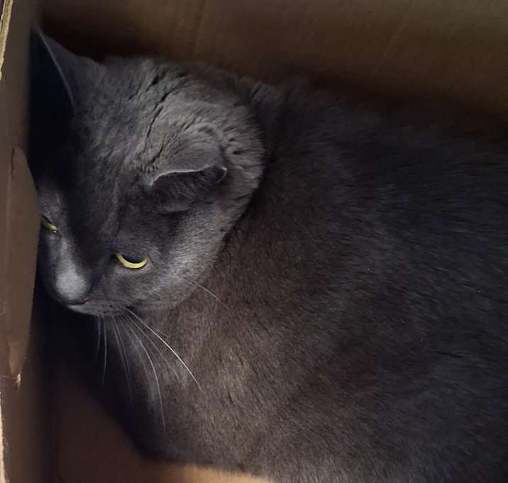 Photo of Smokey