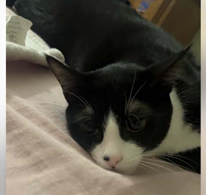 Photo of Kiki