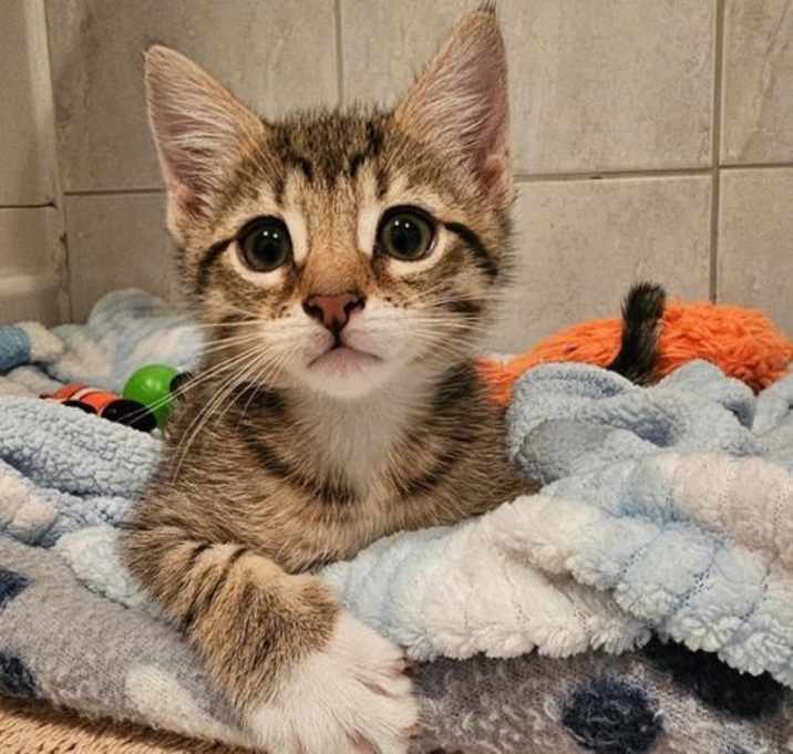 Photo of Maya