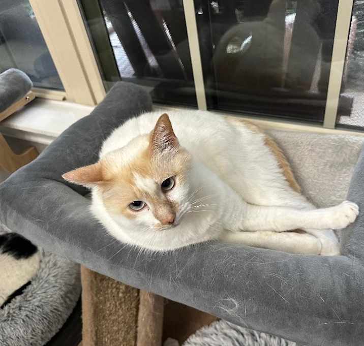Photo of Luna