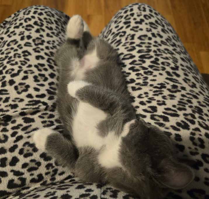Photo of No name yet