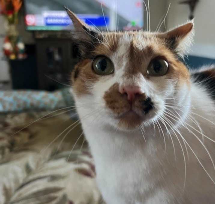 Photo of Marylynn