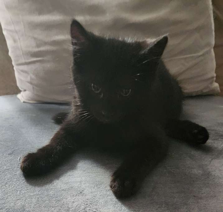 Photo of Hershey